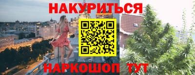 дмт Будённовск
