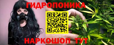 дмт Будённовск