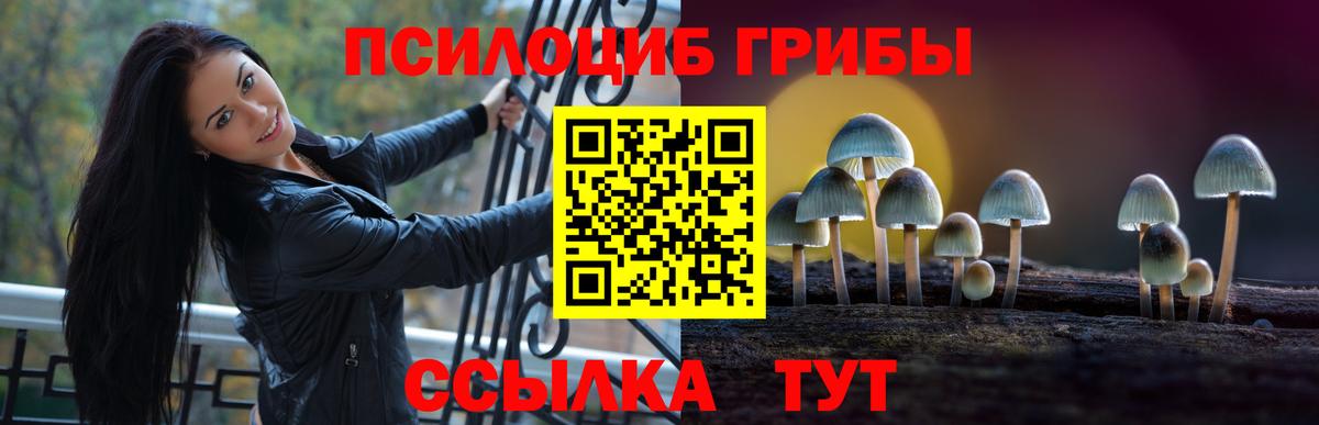Псилоцибиновые грибы MAGIC MUSHROOMS  Вход с VPN  Усть-Кут 